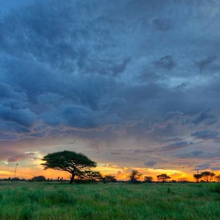 Khoi-Khoi Guesthouse Otavi Esterno foto