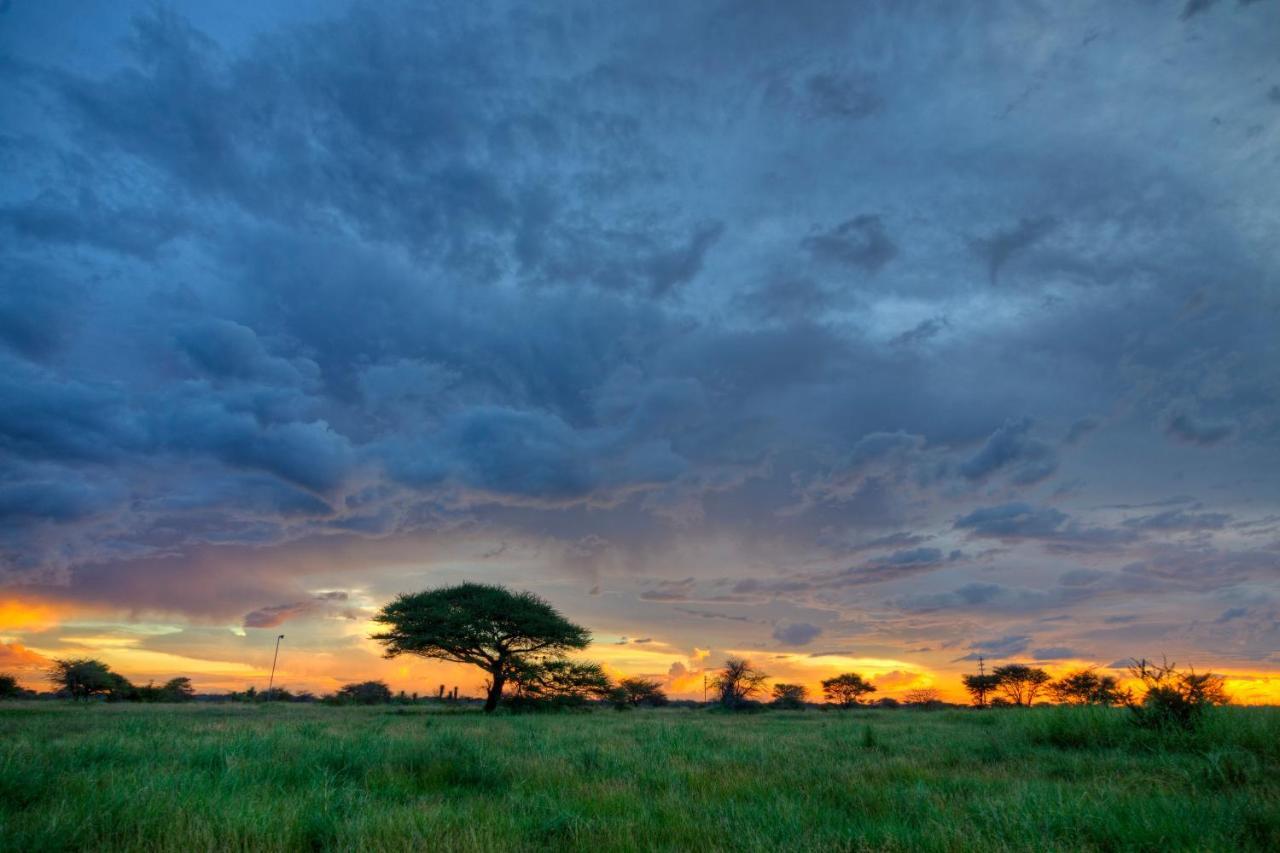 Khoi-Khoi Guesthouse Otavi Esterno foto