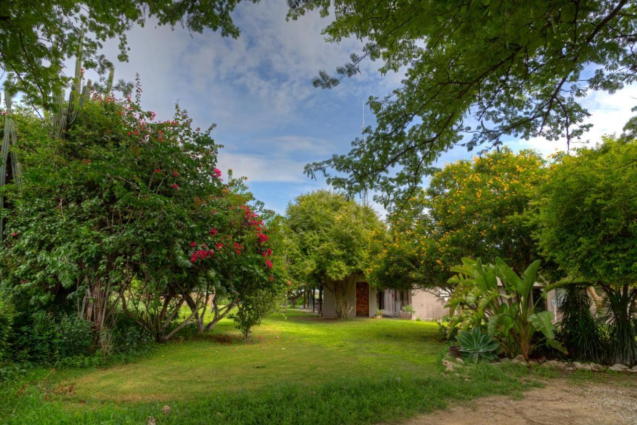 Khoi-Khoi Guesthouse Otavi Esterno foto