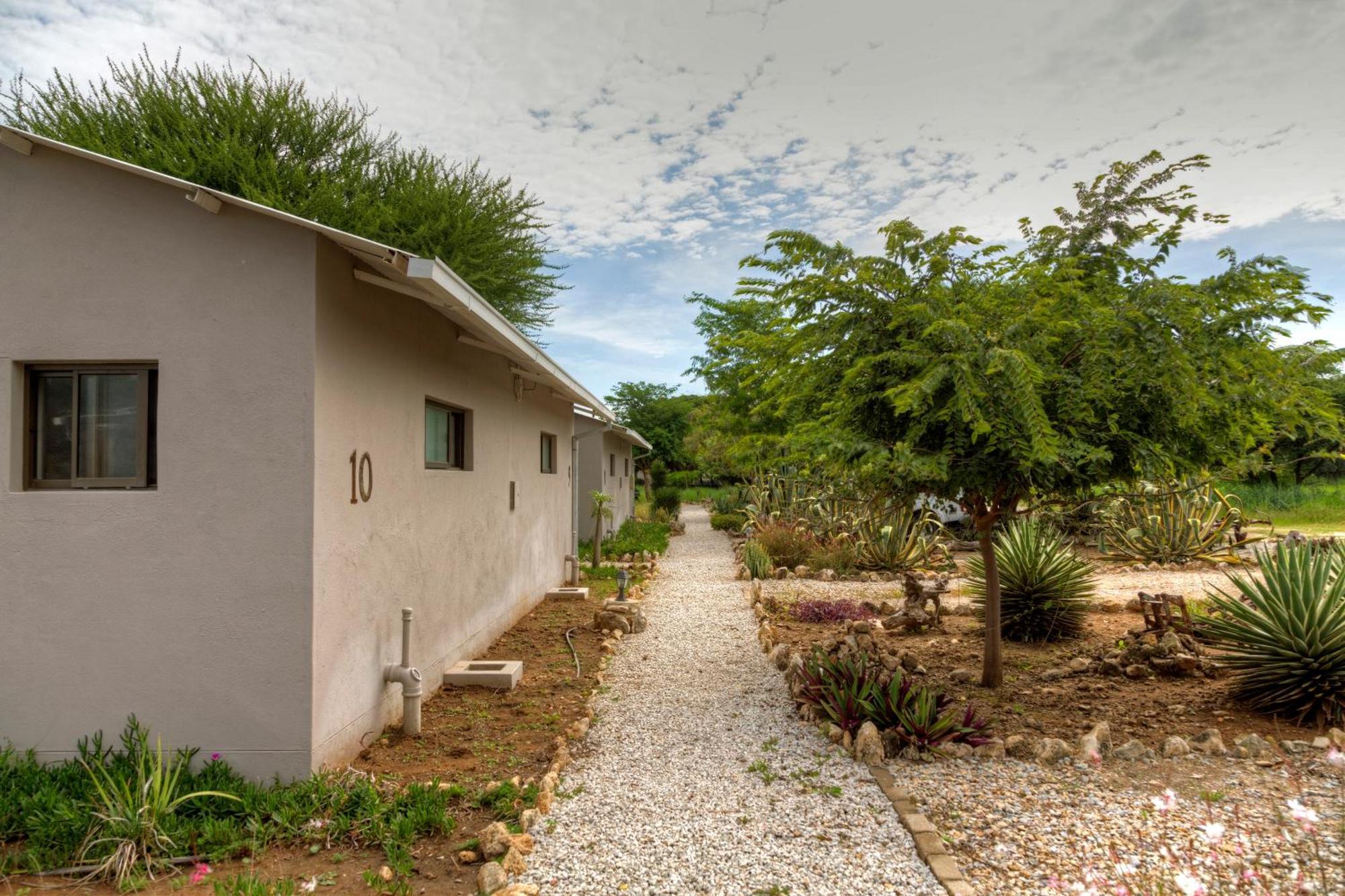 Khoi-Khoi Guesthouse Otavi Esterno foto